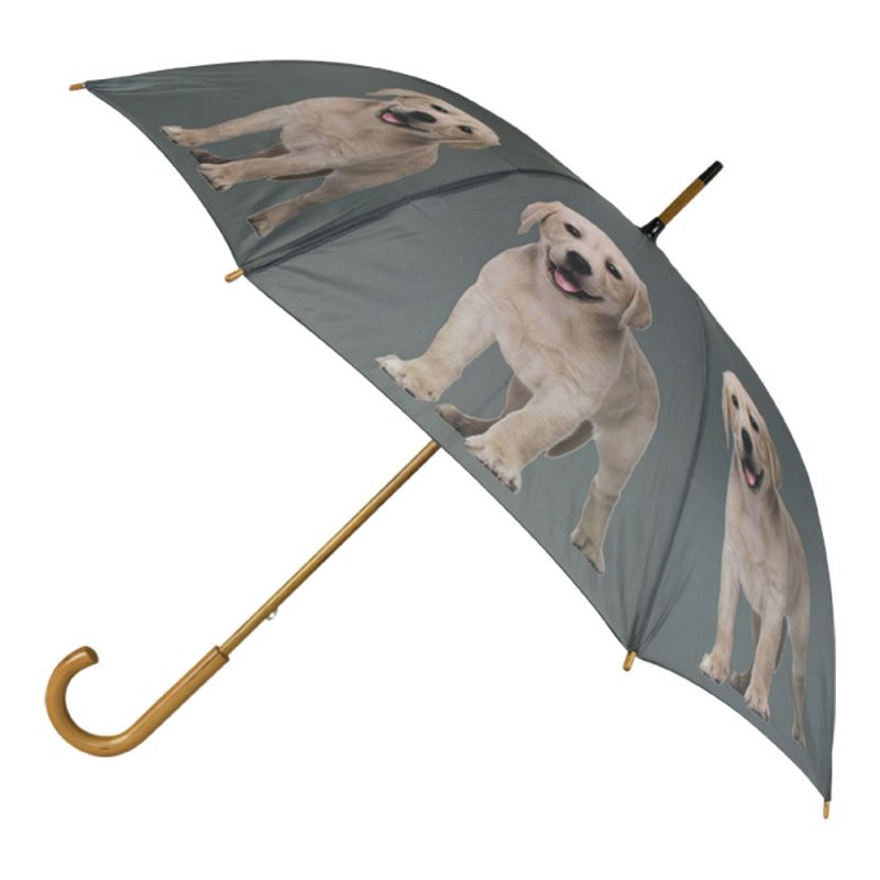 Regenschirm Labrador blond